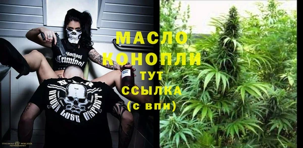 индика Абдулино