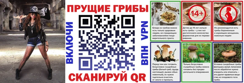 hydra зеркало Терек Псилоцибиновые грибы GOLDEN TEACHER